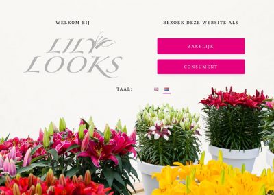 Lancering nieuwe website