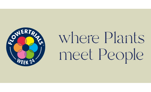 Lily Looks’ participation in the Flowertrials® 2026